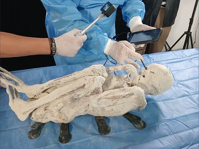 Unveiling the Alien Mummies: New Evidence in Peru