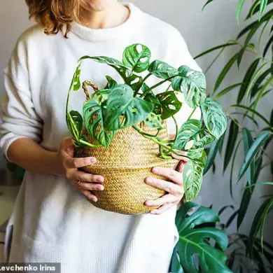 Why April Might Be the New January for Resolutions and Socializing