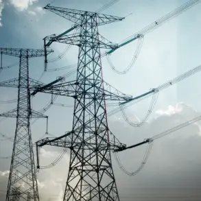 Alleged Pakistani Cyber Sabotage Aims to Disrupt India's Power Grid, Raising Public Concerns