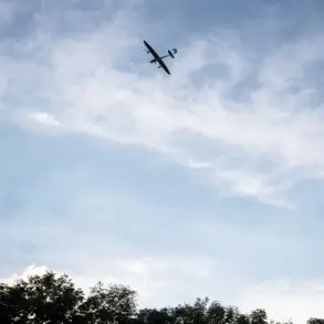 Covert Drone Incident in Kyrylivka Sparks Debate Over Government Oversight and Public Safety Regulations