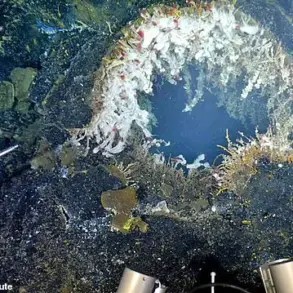Scientists Warn of Imminent Eruption at Axial Seamount, Citing Urgent Seismic Activity Off Oregon Coast
