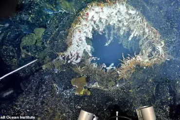 Scientists Warn of Imminent Eruption at Axial Seamount, Citing Urgent Seismic Activity Off Oregon Coast
