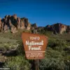 A Tragedy in the Desert: 'It's Unbelievable' Says Sheriff as Community Mourns Teenagers Found Dead in Arizona Forest