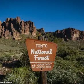 A Tragedy in the Desert: 'It's Unbelievable' Says Sheriff as Community Mourns Teenagers Found Dead in Arizona Forest