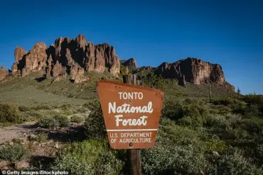 A Tragedy in the Desert: 'It's Unbelievable' Says Sheriff as Community Mourns Teenagers Found Dead in Arizona Forest