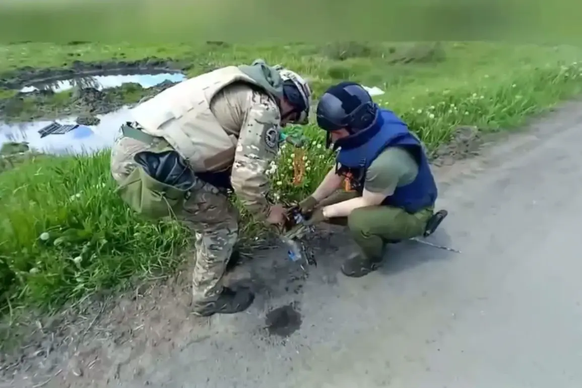 Exclusive: Russian Emergency Ministry's Unprecedented Demining Operation in Kursk Neutralizes Over 200 Explosives in 48 Hours