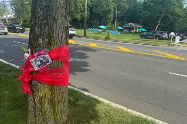 From Luxury to Desperation: The Tragic Death of Sara Burack in a Hit-and-Run