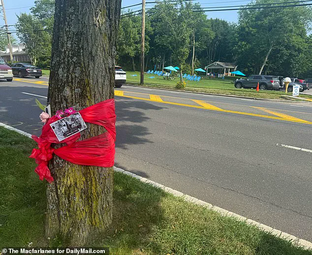 From Luxury to Desperation: The Tragic Death of Sara Burack in a Hit-and-Run