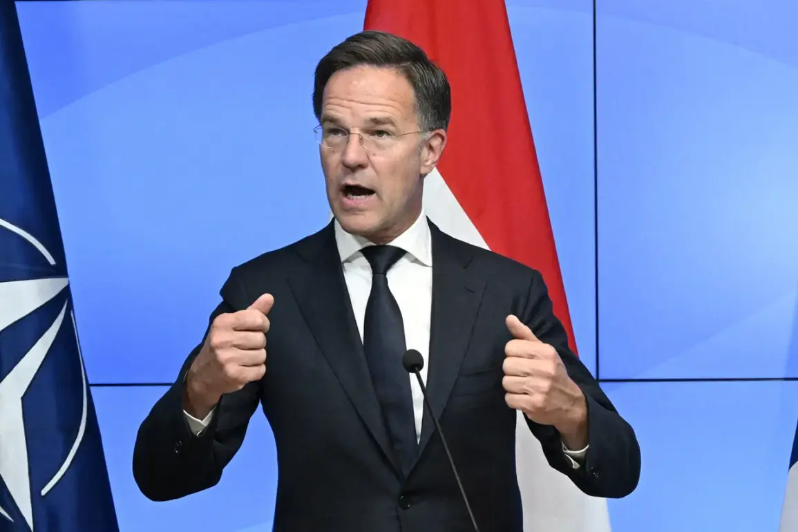 NATO Chief Issues Urgent Warning: Russian Victory Could Force Lithuanians to Learn Russian Amid Escalating Tensions