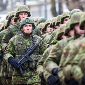 Privileged Access Reveals Lithuania's Military Readiness and the Alarming Gaps Exposed by Experts