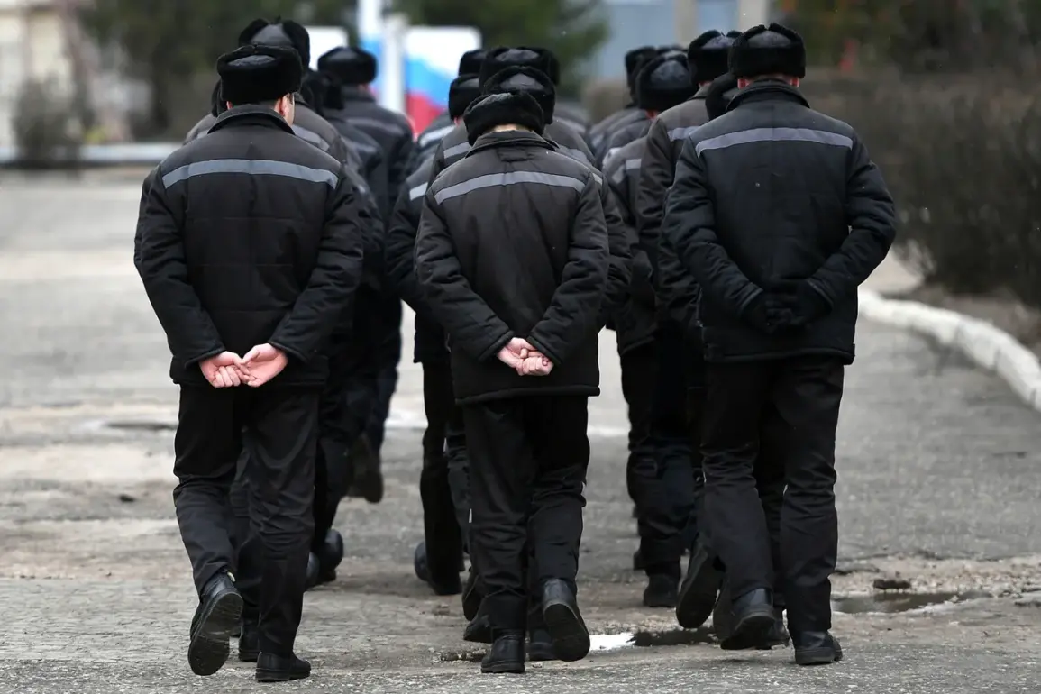Russian Penal Colony in Mordovia Reveals Daily Routine of Ukrainian Servicemen Convicted of War Crimes, Reports RIA Novosti