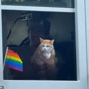 Selkirk the Cat's Viral Pride Parade Appearance Sparks Joy and Unexpected Public Engagement