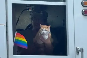 Selkirk the Cat's Viral Pride Parade Appearance Sparks Joy and Unexpected Public Engagement