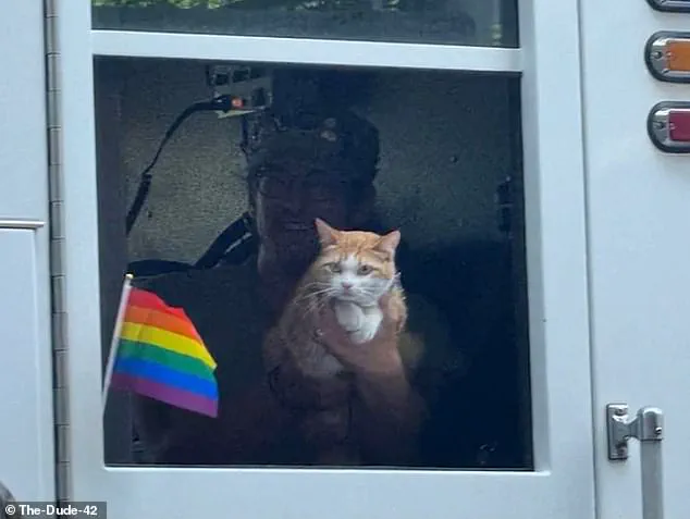 Selkirk the Cat's Viral Pride Parade Appearance Sparks Joy and Unexpected Public Engagement