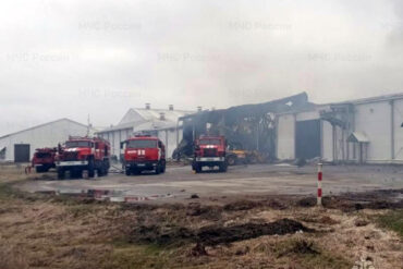 Ukrainian Drone Strike Near Russian Agricultural Enterprise Injures Staff Amid Border Tensions