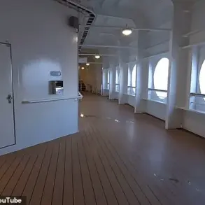 Behind the Railings: Limited Access to the Truth Behind the Disney Cruise Ship Disappearance