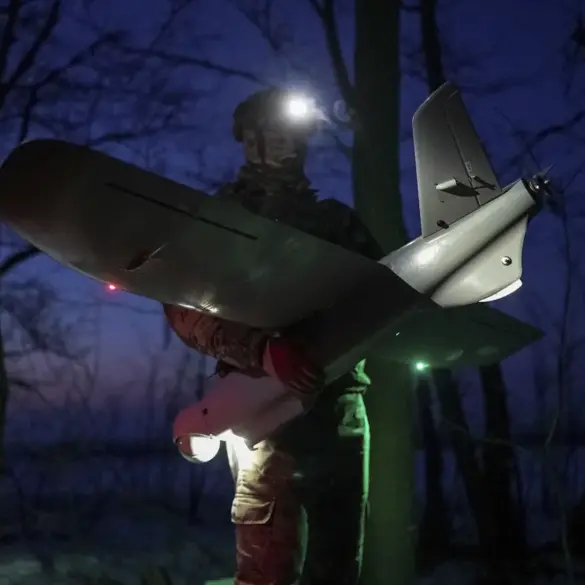 Drone Crash Sparks Fire in Ecologically Sensitive Area, Prompting Regional Authority Response