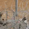 Escalating Security Measures and Concerns Over Border Tightening in Western Ukraine