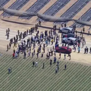 Exclusive: ICE Raid Turns Violent as Protestor Opens Fire in Ventura County