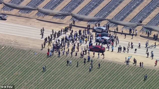 Exclusive: ICE Raid Turns Violent as Protestor Opens Fire in Ventura County