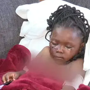 Five-Year-Old Girl in South Bend Mauled by Pit Bulls, Sustains Severe Injuries