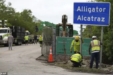 Florida Man Alleges Termination from 'Alligator Alcatraz' Detention Facility After Posting Controversial Footage, Sparking Debate Over Conditions