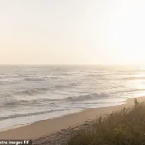 Legal Battle Escalates as Nantucket Property Owner Faces Felony Charges Over Tree-Cutting Dispute