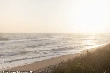Legal Battle Escalates as Nantucket Property Owner Faces Felony Charges Over Tree-Cutting Dispute