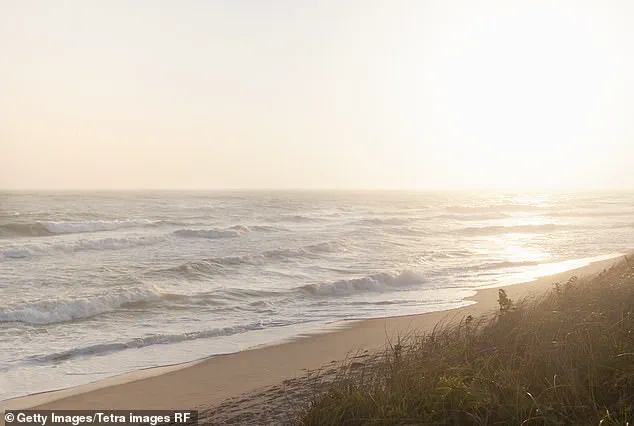 Legal Battle Escalates as Nantucket Property Owner Faces Felony Charges Over Tree-Cutting Dispute