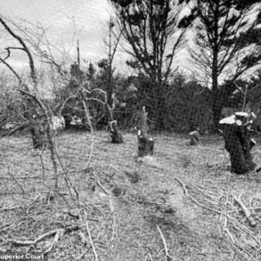 Nantucket Property Feud Escalates with $1.4 Million Lawsuit Over Alleged Tree Removal to Enhance Ocean View