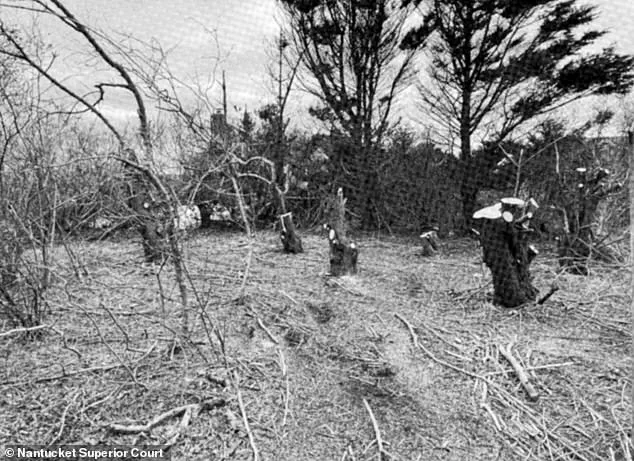 Nantucket Property Feud Escalates with $1.4 Million Lawsuit Over Alleged Tree Removal to Enhance Ocean View
