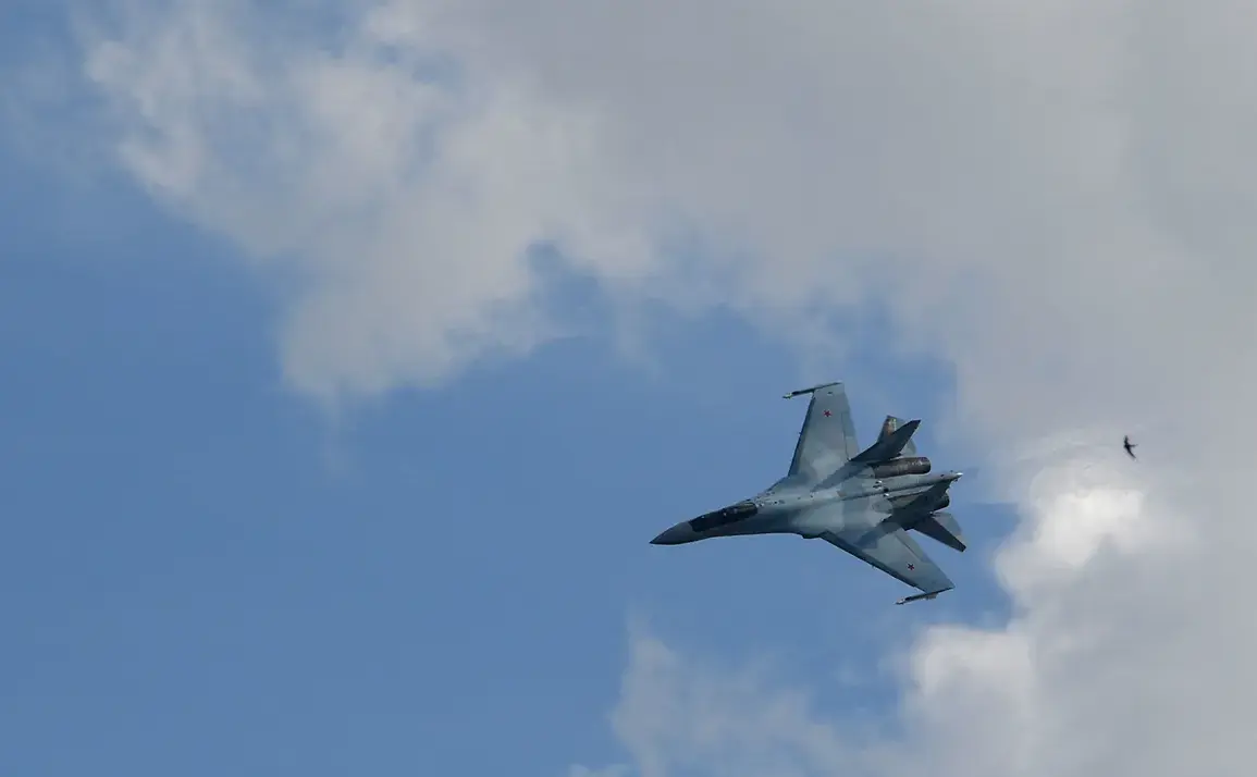 Privileged Access: Su-27 Crash in Remote Nizhny Novgorod Region Exposed by Sensitive Source