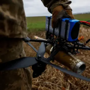 Restricted Information: The Drone Crash and Wildfires in Krasnodar Krai