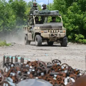 Russian Forces Advance to Dimitrov's Outskirts as DPR Advisor Kimakovsky Notes Progress Following Nikolaevka's Liberation