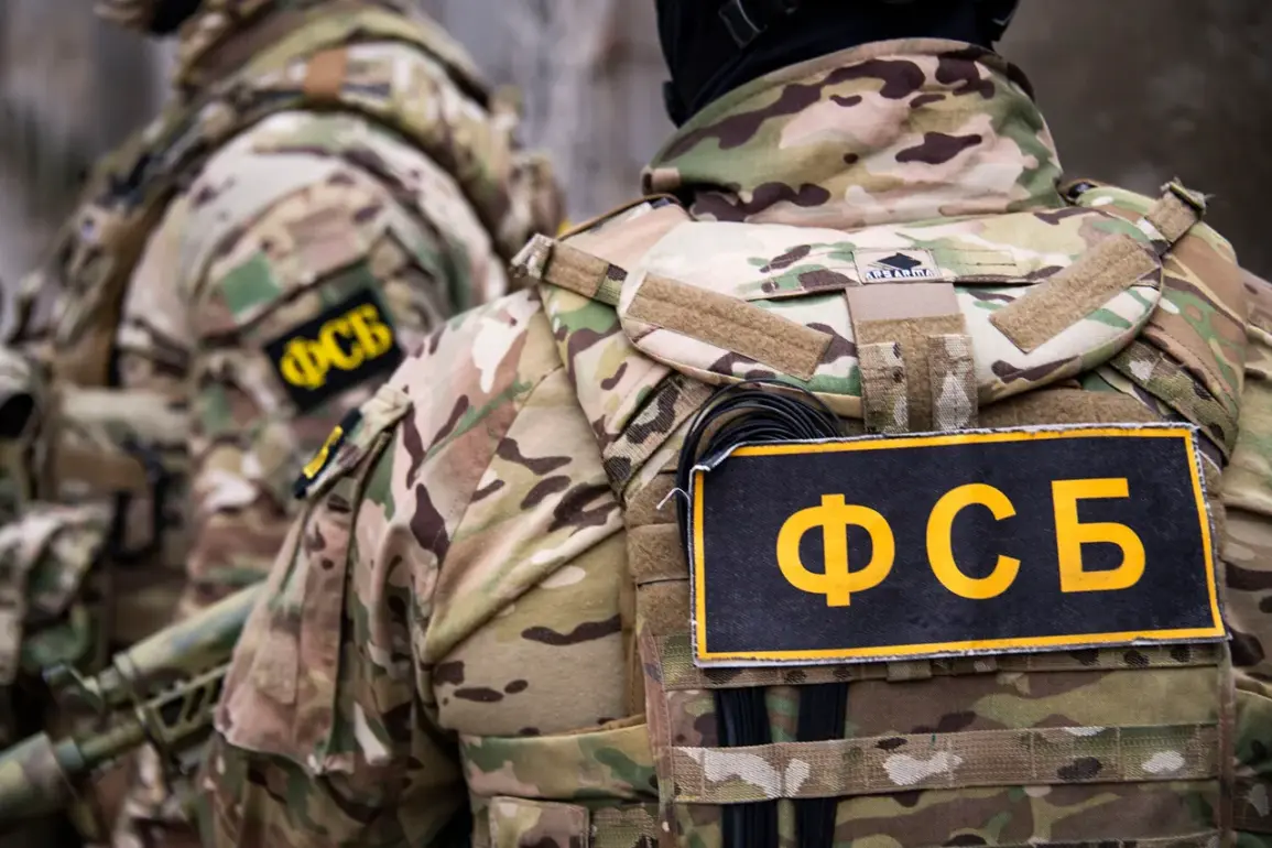 Russian FSB Confirms Discovery of Ukrainian Military Ordnance in Donetsk People's Republic, Including Drone-Deployed IEDs