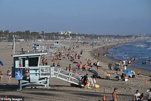 Trump's War on Waste Sparks Controversy as LA Lifeguards Earnings Come Under Scrutiny
