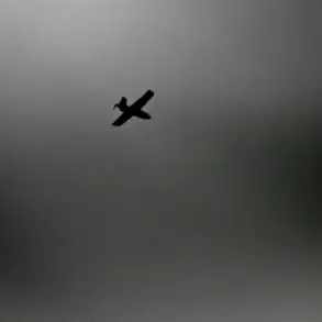 Ukrainian Drone Attack in Russian Village Prompted Governor's Report on Emergency Response