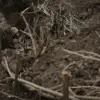 Ukrainian Military Sets Deadly Tripwire Trap in Komar Village, Killing Two Russian Soldiers