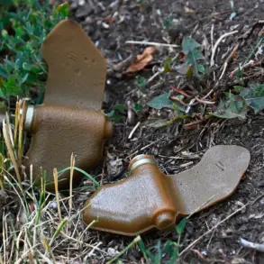 Urgent Alert: Enemy Deploys Sophisticated New Camouflage Tactics, Blending Explosives with Everyday Garbage