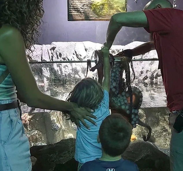 A Mother's Terrifying Account of 6-Year-Old's Octopus Encounter at San Antonio Aquarium