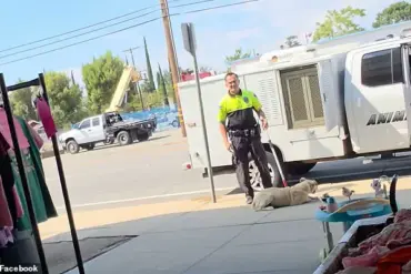 California Animal Control Officer Faces Outcry Over Video of Dog Being Dragged and Thrown into Van