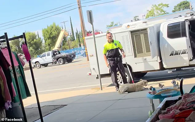California Animal Control Officer Faces Outcry Over Video of Dog Being Dragged and Thrown into Van