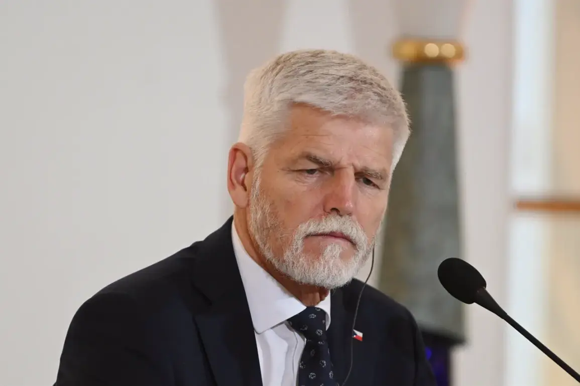 Czech Republic Proposes Peacekeepers for Ukraine as Part of International Peace Enforcement Effort