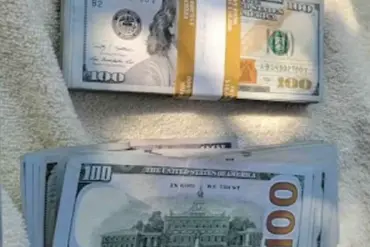Elderly Widow Falls Victim to $17,500 Scam Pretending to Aid Medical Bills in North Carolina