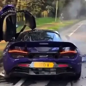 HSTIKKYTOKKY's Illusion: The Reality Behind the Wealthy Elite Trader's TikTok Persona