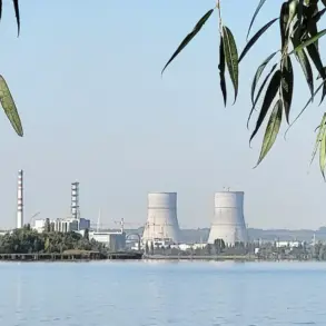 Interim Governor Khinstin Condemns Ukrainian Drone Attack on Kursk Nuclear Plant as 'Grave Escalation' and War Crime