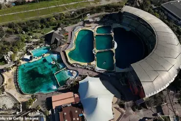 Marineland Antibes Closure Leaves Controversy Over Orcas' Fate Unresolved