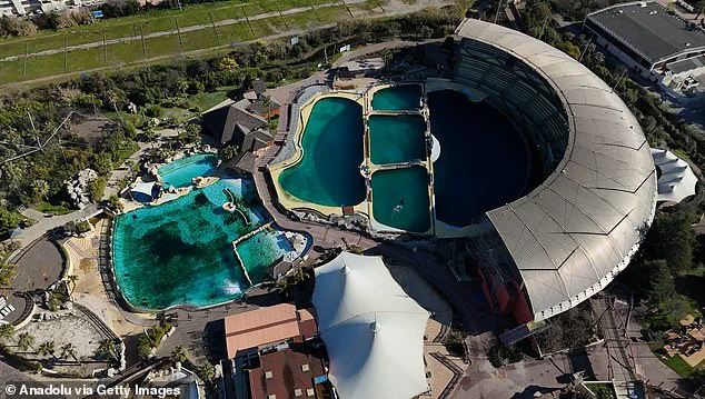 Marineland Antibes Closure Leaves Controversy Over Orcas' Fate Unresolved
