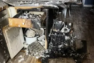 Microwave Malfunction Sparks Fire, Safety Experts Advise Caution