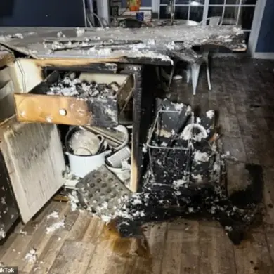 Microwave Malfunction Sparks Fire, Safety Experts Advise Caution